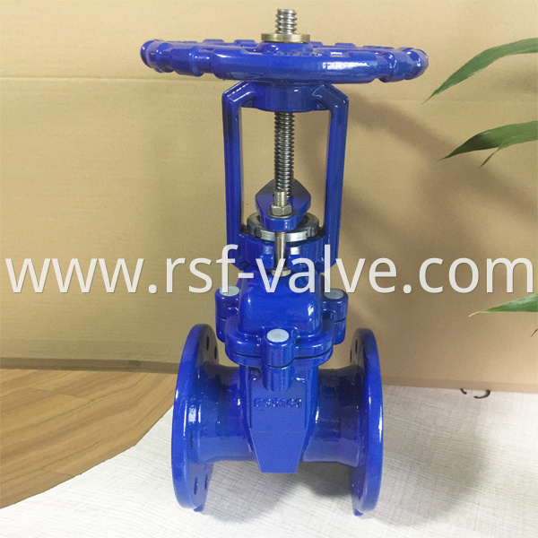 Rising Stem Resilient Seat Gate Valve